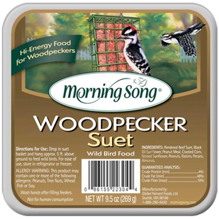 MORNING SONG Morning Song 11462 12-9.5 oz Woodpecker Suet Wild Bird Food 11462